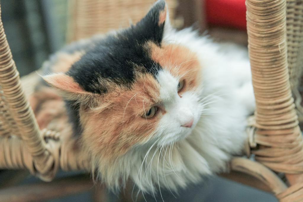 ワダ インターナショナルホステル 北京 エクステリア 写真